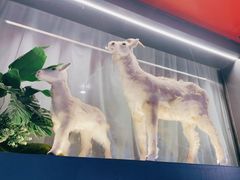 -红满堂·龙虾·牛蛙·淮扬菜(濠北路店)
