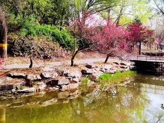 -圆明园遗址公园-藻园门售票处