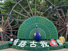 -呀路古热带植物园