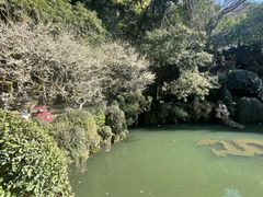 -杭州黄龙洞