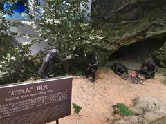 -北京周口店北京人遗址博物馆