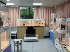 -翊宠yipet猫狗购宠庄园