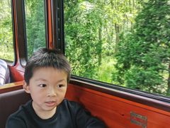 -合肥滨湖国家森林公园