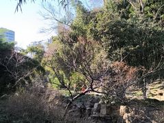-水绘园