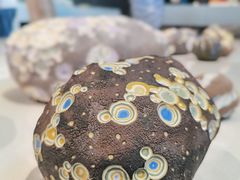 -中国美术学院象山校区-民艺博物馆