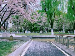 景点-西北湖绿化广场