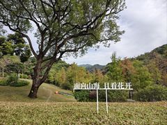 -云溪植物园