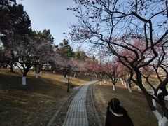 -浙江农林大学(东湖校区)