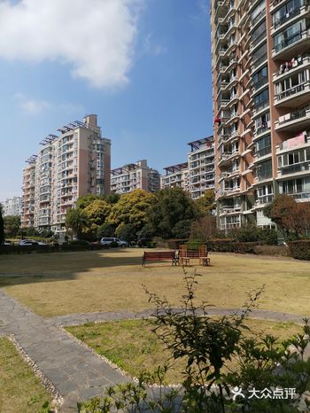 可在这个特殊的日子里，就连小区的绿地里都见不到一个人！