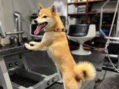 -YCHL Studios健身工作室(市二宫店)