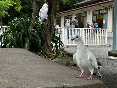 -鹤冈八幡宫