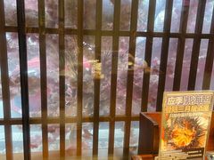 -三月居酒屋(青年大街店)