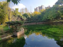 -望江楼公园