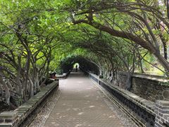 -烟台山景区