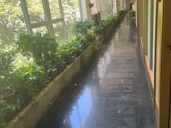 -一澜江宴·江景地标楚菜(江滩公园店)