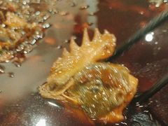 -老幺泉水鸡