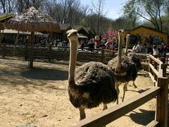 -南通金石国际大酒店