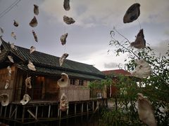 -崖口红树林海鲜餐厅