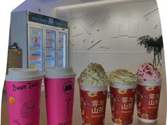 -雾与山茶(大禹城店)