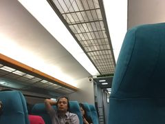 -龙阳路磁悬浮列车总站-停车场