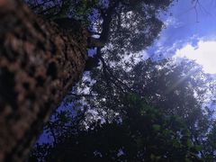 -广州市白云山风景名胜区