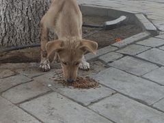 -青州市云门山风景区