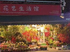-星光城