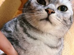 -和它·交个朋友·狗咖猫咖(爱琴海店)