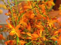 -花二家·生活馆(六运小区店)