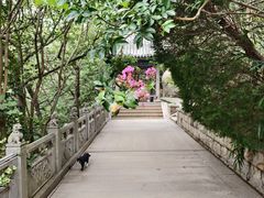 -青岛崂山太清宫