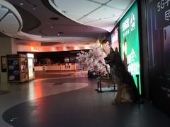 -卢米埃影城(住总万科杜比全景声激光店)