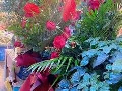 -双季花艺园艺市场(浦东店)