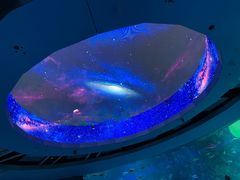 -海合安青岛极地海洋公园