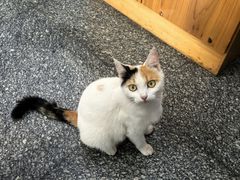 -篁岭农家饭店