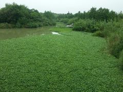 android_upload_pic-中国湿地博物馆