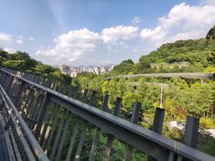 -福道