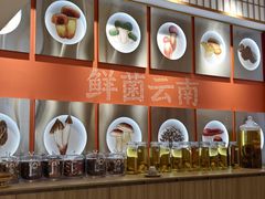 -鲜菌江湖正宗野生菌火锅