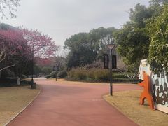 -杭州城北体育公园