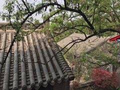 -西安华清御汤酒店