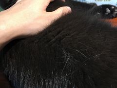 -嘉鸣扬·烧腊世家(洛溪新城店)