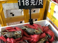 -莲花公园煎蟹(总店)