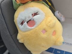 -海门爱心宠物医院