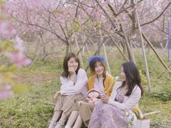 -天适樱花悠乐园