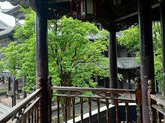 -粤晖园