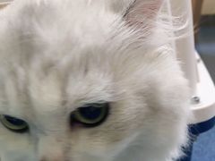 -宠颐生宠物医院外科·内科·皮肤科·影像科(石龙店)