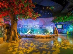 -沈阳海洋探索中心