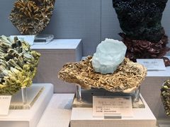 -湖南省地质博物馆