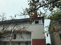 -胖大姐黄辣丁鱼庄(新津店)