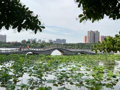 -济南大明湖景区