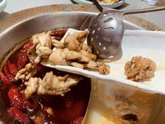 -麻田会 ·鲜活现烹·牛蛙火锅(珠江新城维家思广场店)